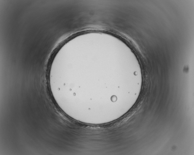 X0000116671168201001111305