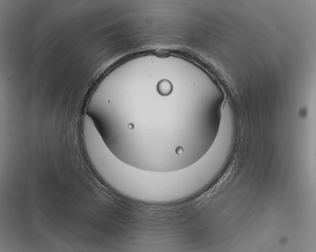 X0000116671169201001111305