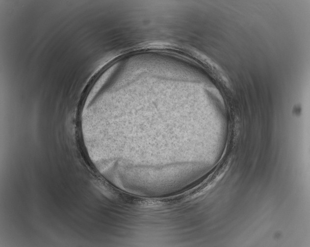 X0000116671170201001111305