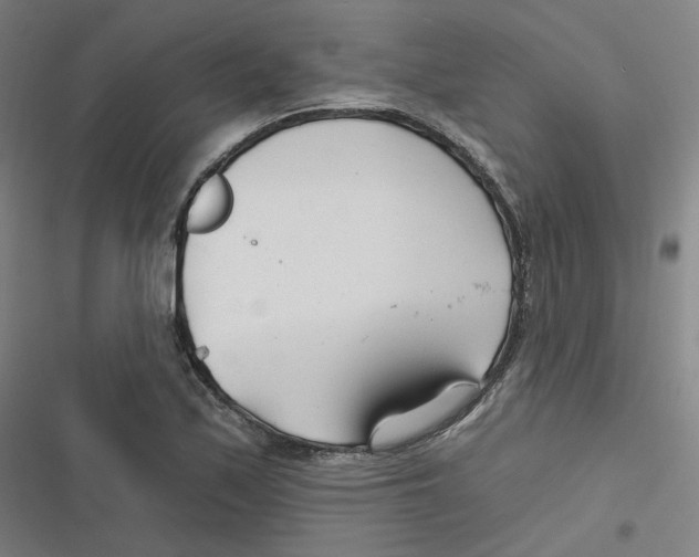 X0000116671171201001111305