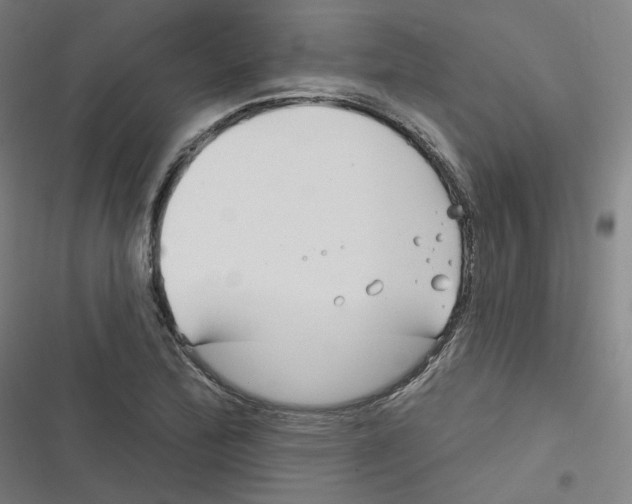 X0000116671172201001111305