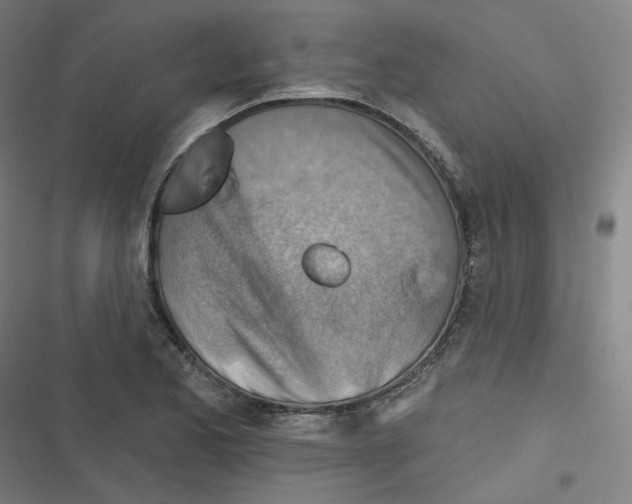 X0000116671173201001111305