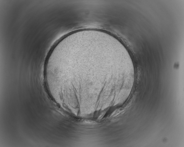 X0000116671174201001111304