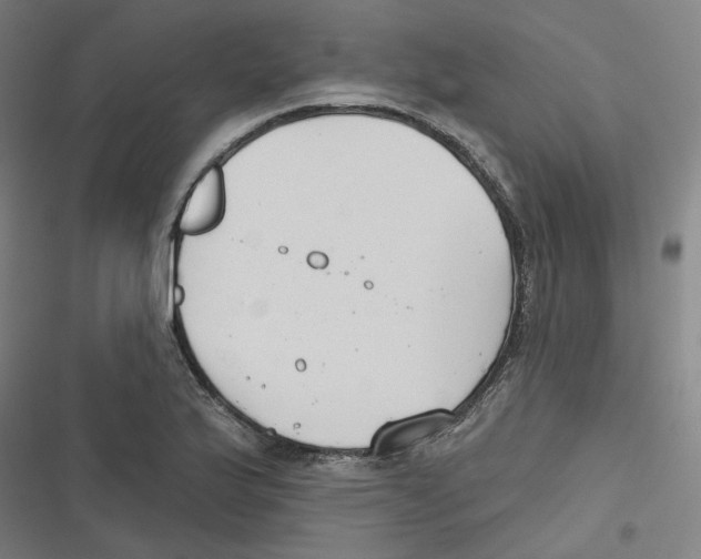 X0000116671175201001111304