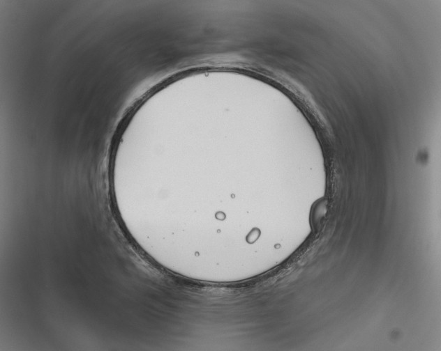 X0000116671176201001111304