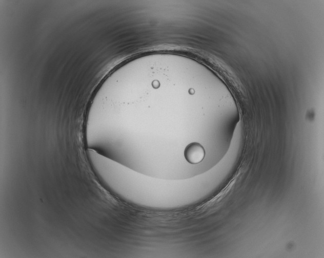 X0000116671177201001111304