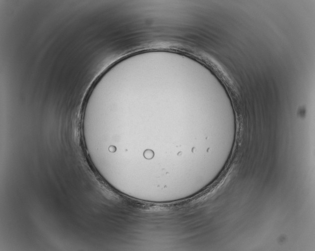 X0000116671178201001111304