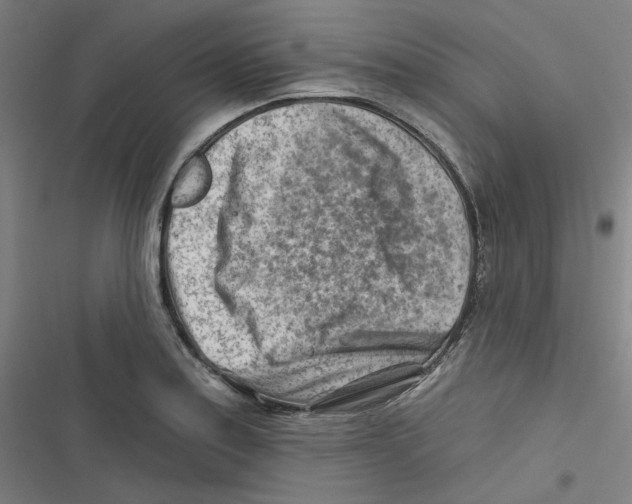 X0000116671179201001111304