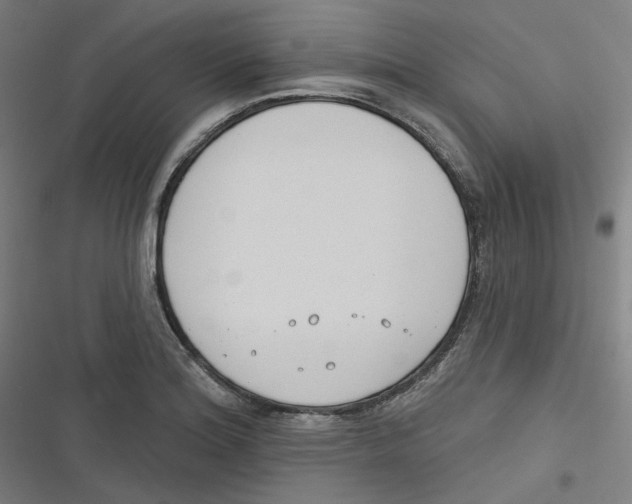 X0000116671180201001111304