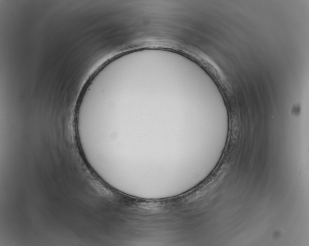 X0000116671182201001111304