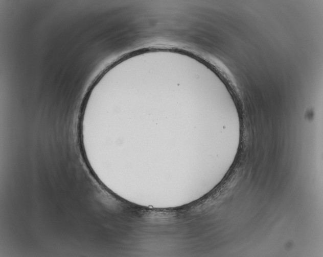 X0000116671183201001111304