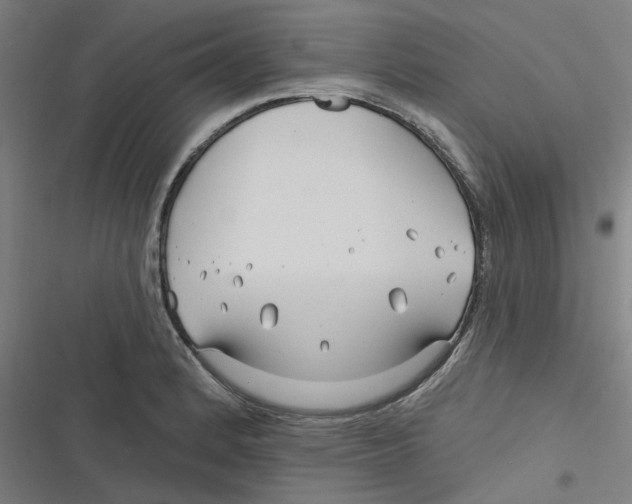 X0000116671184201001111304