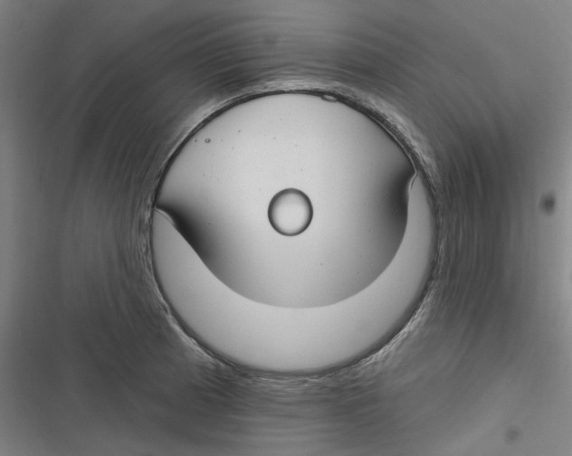 X0000116671185201001111304