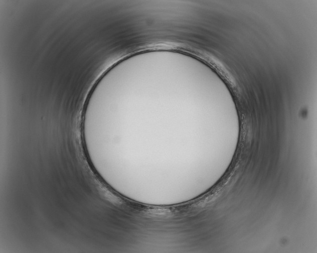 X0000116671186201001111304