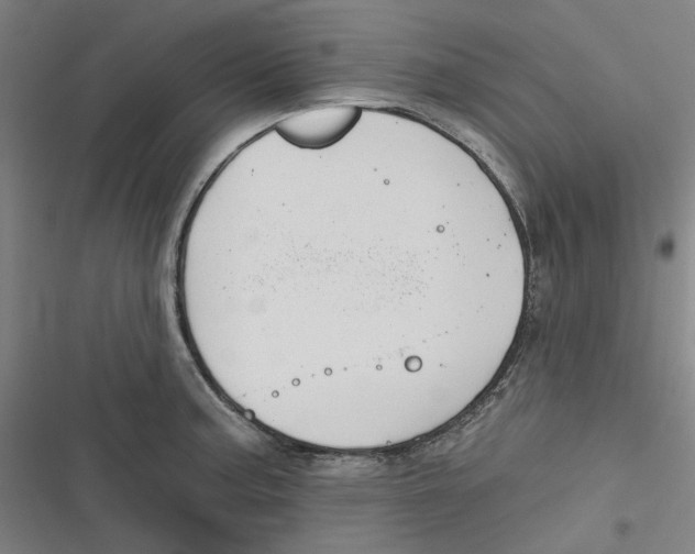 X0000116671187201001111304