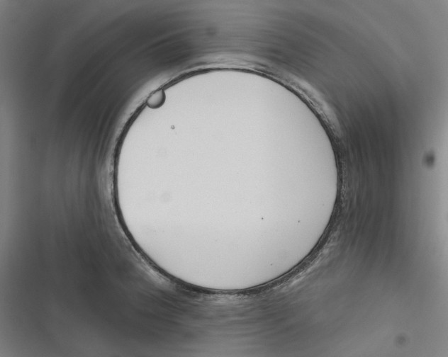 X0000116671188201001111304