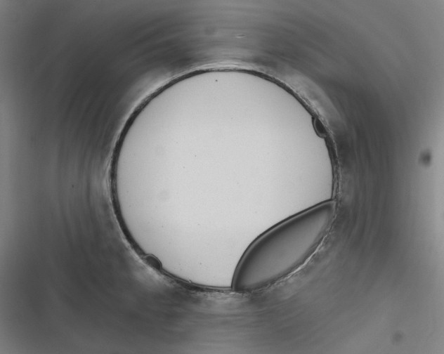 X0000116671189201001111304