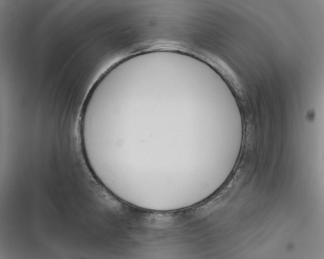 X0000116671190201001111304