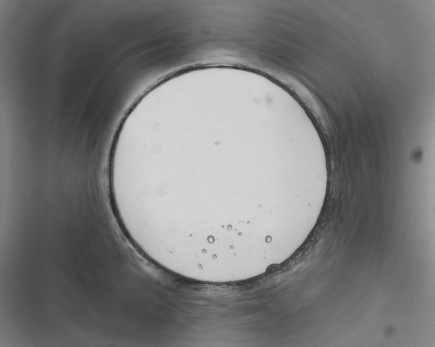 X0000116671191201001111304