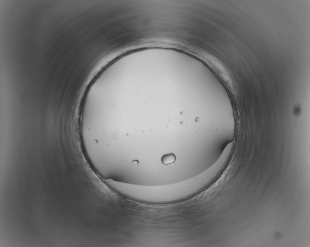 X0000116671192201001111304