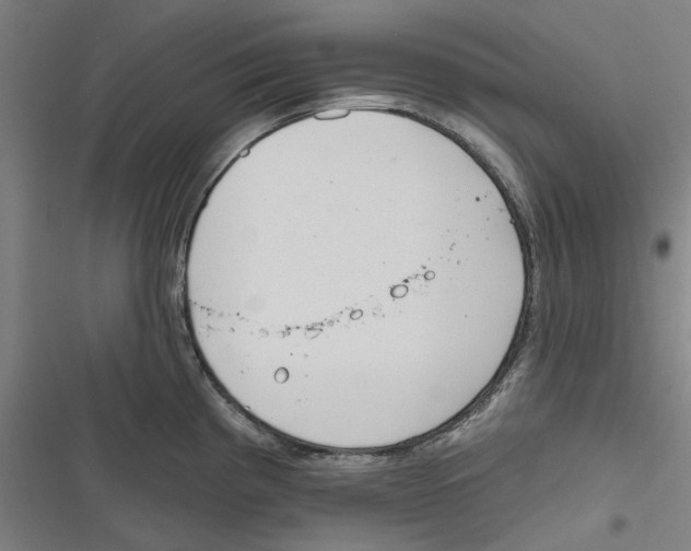 X0000116671193201001111304