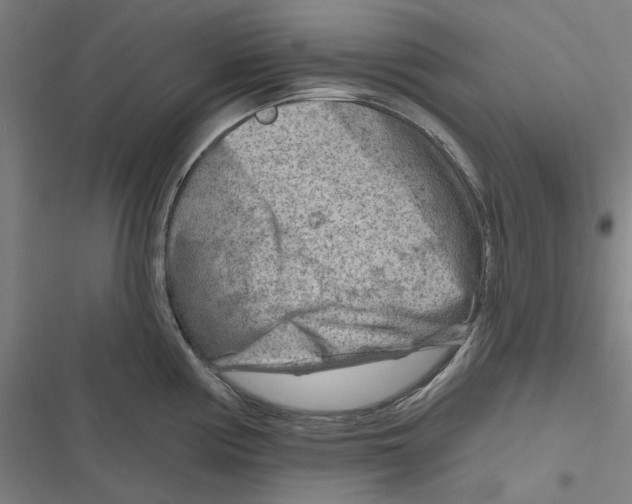 X0000116671194201001111304