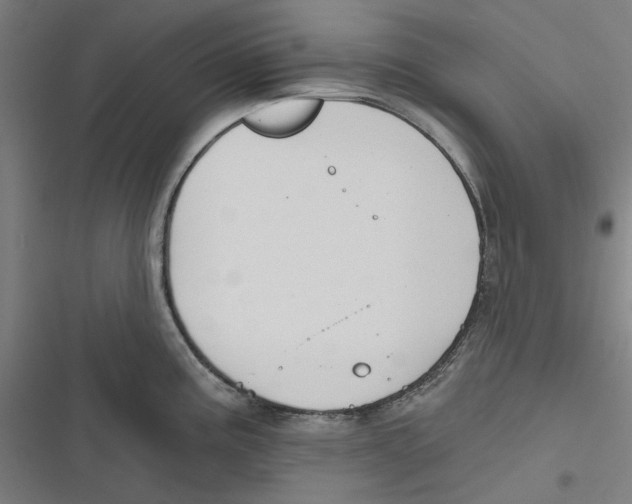 X0000116671195201001111304