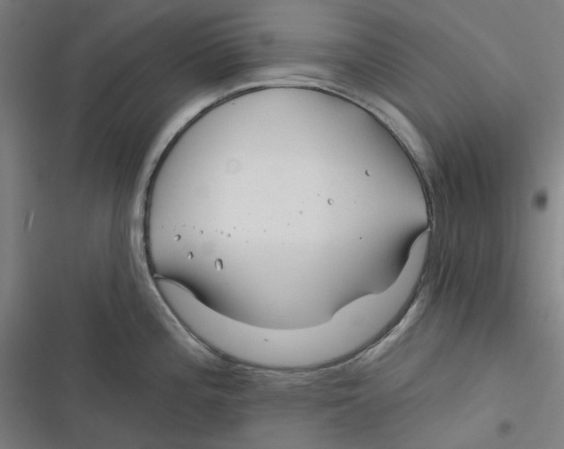 X0000116671196201001111304