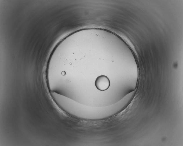 X0000116671197201001111304