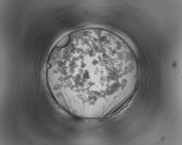 X0000116671198201001111304