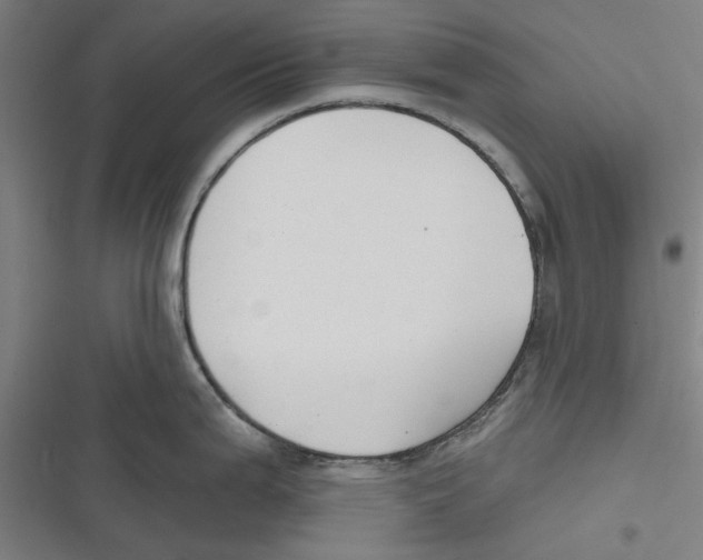 X0000116671199201001111304