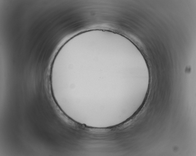 X0000116671200201001111304