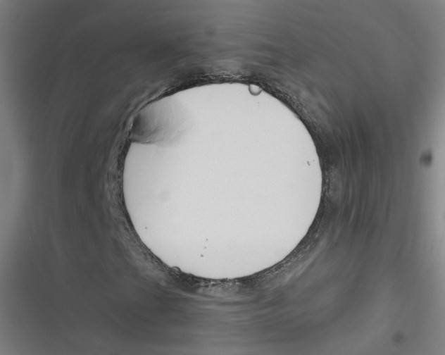 X0000116671201201001111303