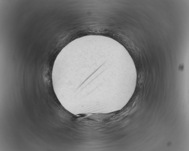 X0000116671202201001111304