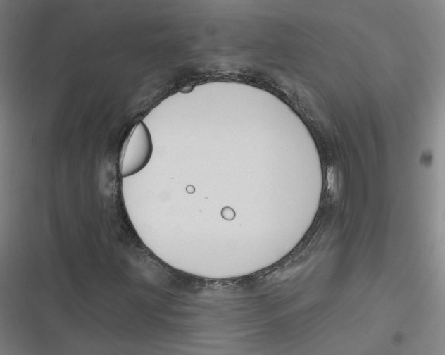 X0000116671203201001111304