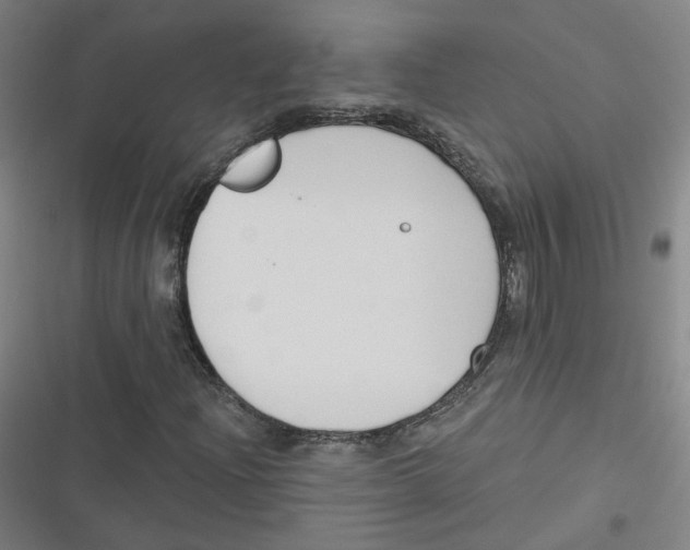 X0000116671204201001111304