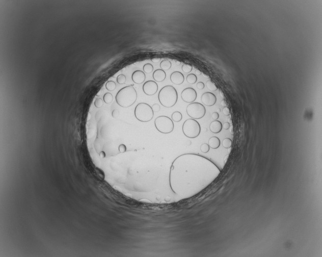 X0000116671205201001111304