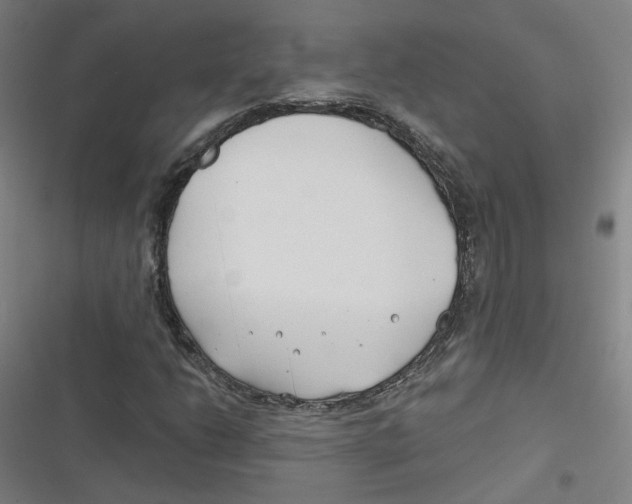 X0000116671206201001111304