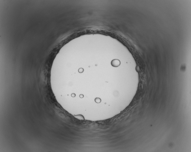 X0000116671207201001111304