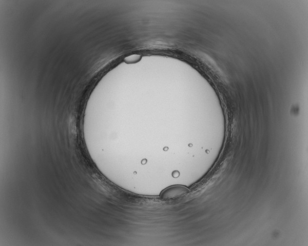 X0000116671209201001111304