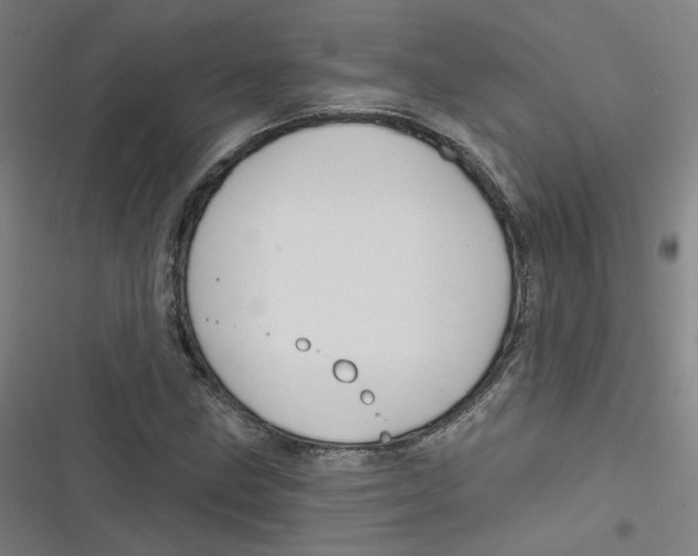 X0000116671211201001111304