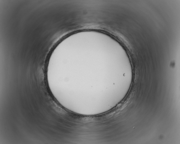 X0000116671212201001111304