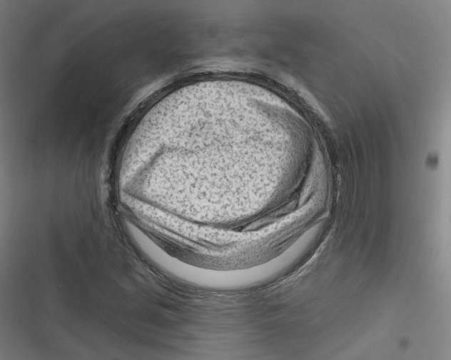 X0000116671213201001111304