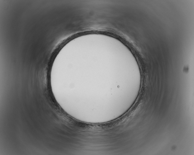 X0000116671214201001111304