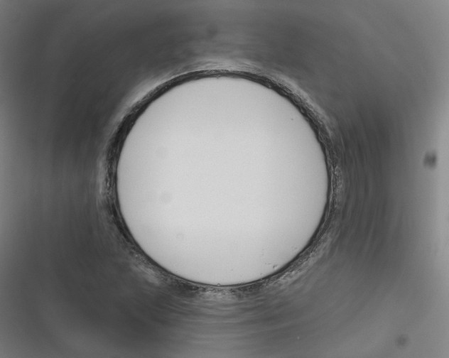 X0000116671215201001111304