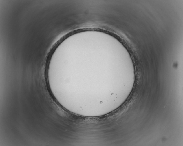 X0000116671216201001111304