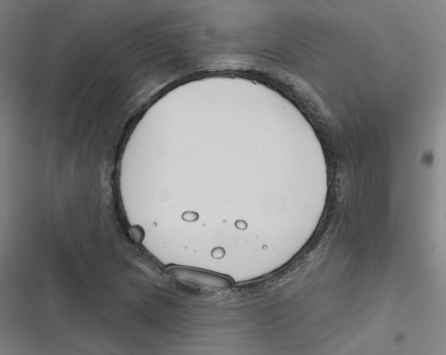 X0000116671217201001111304