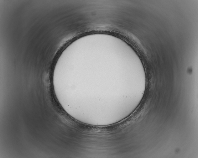 X0000116671218201001111304