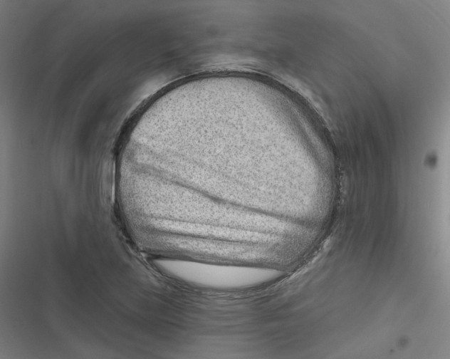 X0000116671219201001111304