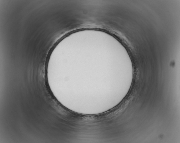 X0000116671220201001111304